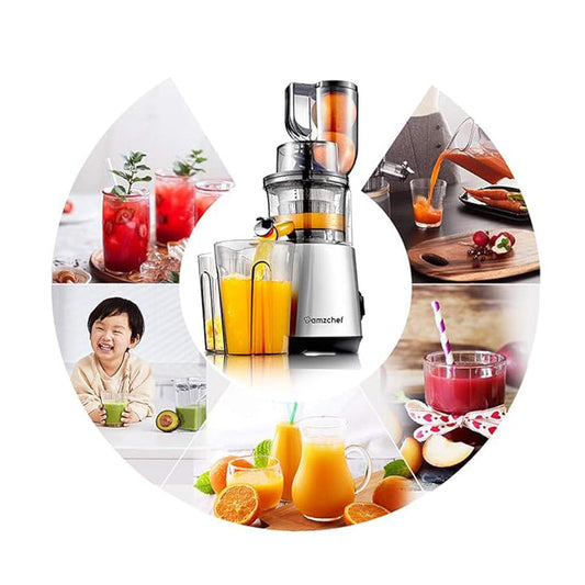 🔥 🇳🇱 Automatische Juicer 🍇🍐